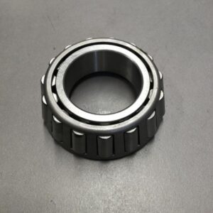 Cone-Bearing